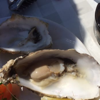 Lobster Pot - Oysters on a half shell - Bars Near Me - Wexford, WX Lobster Pot - Oysters on a half shell - Bars Near Me - Wexford, WX