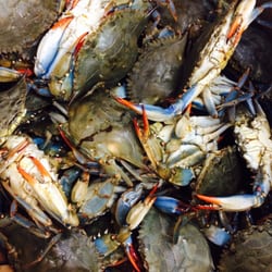 Capitol Supermarket - Live blue crabs!