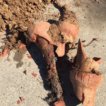 APLUS Plumbing - Roots in clay pipes!!! APLUS replaced the clay pipes with really strong plastic pipes.  Even a Hammer strike did not crack the new pipes. - Plumbing Near Me