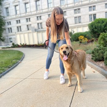Fetch & Favor - Pet Sitting Near Me Fetch & Favor - Pet Sitting Near Me