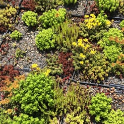 Great Allegheny Passage Trail - Green roof - visitor's center for the Ohiopyle State Park