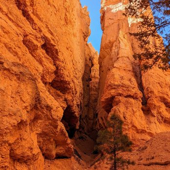 Figure 8 Combination - Navajo Loop Trail | Instagram: @telephonesmoothie - Hiking Near Me - Bryce, Utah
