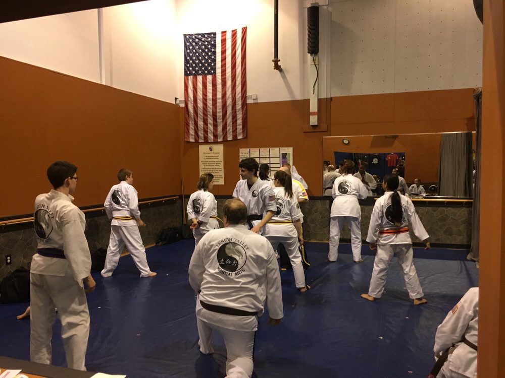 Lehigh Valley Martial Arts - Fogelsville Logo