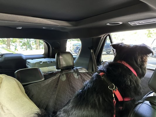 Eagle Point Park by null