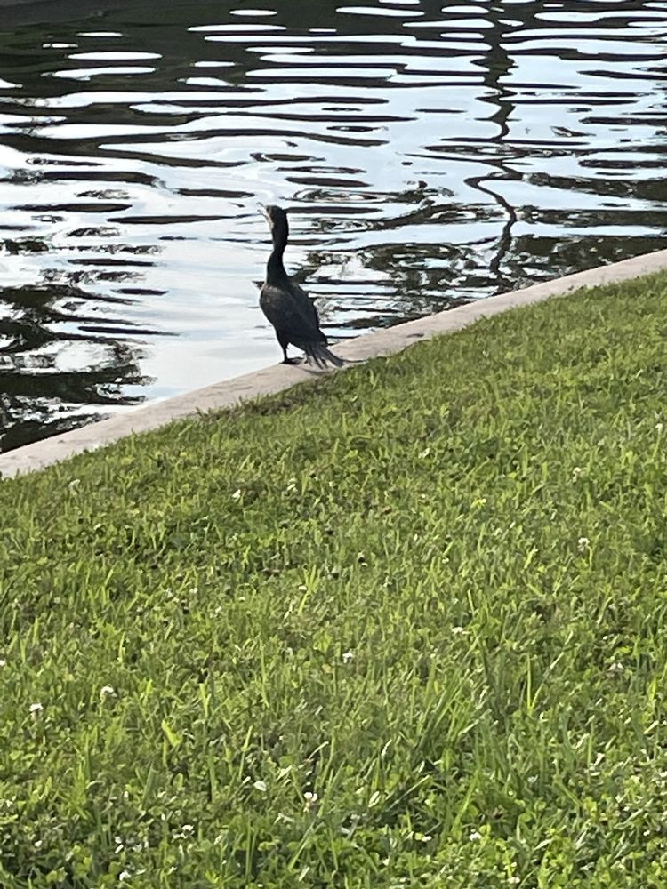 JERSEY VILLAGE HIGH SCHOOL Updated August 2024 13 Photos 7600 Solomon St, Jersey Village