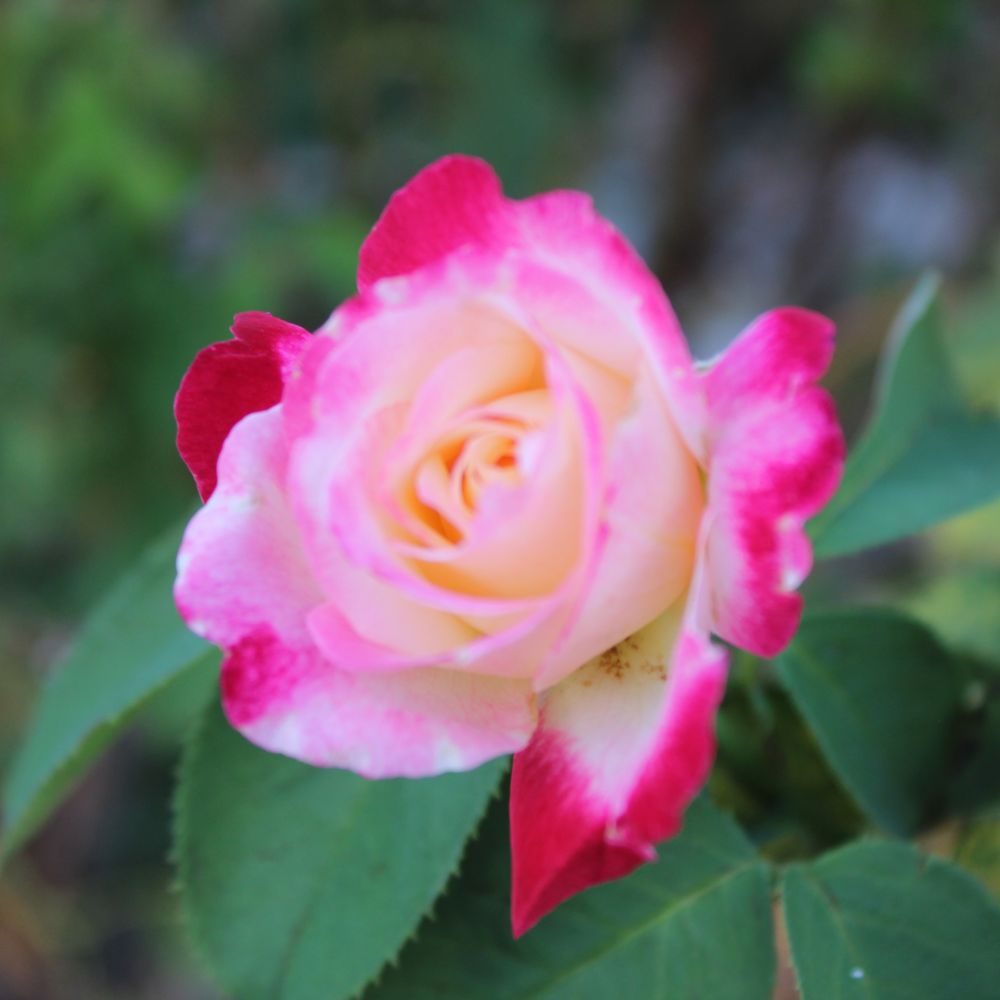 The Best 10 RV Parks near Tico Time River Resort in Aztec, NM Yelp