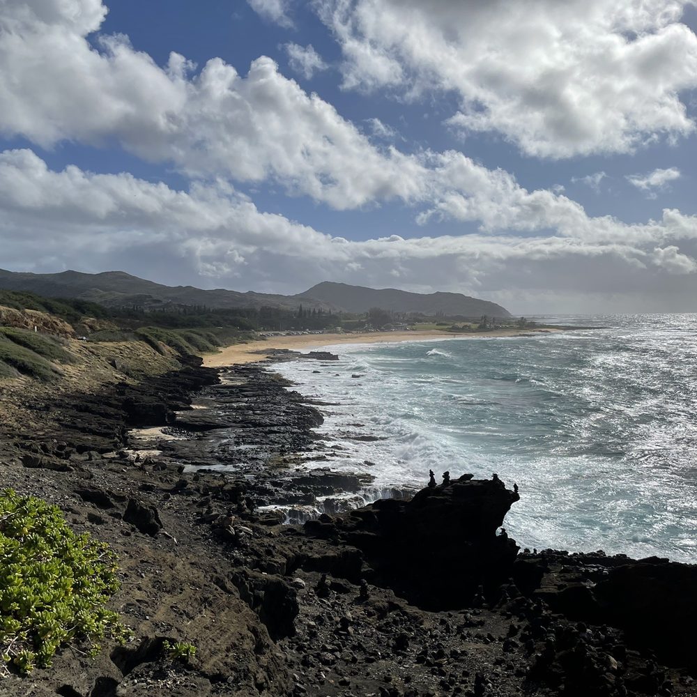Go Tours Hawaii - Bus Tours Near Me - Honolulu, Hawaii