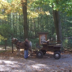 Zur Alten Eiche