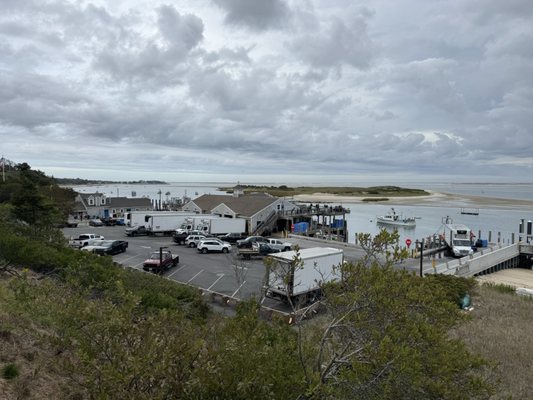Chatham Pier Fish Market by null
