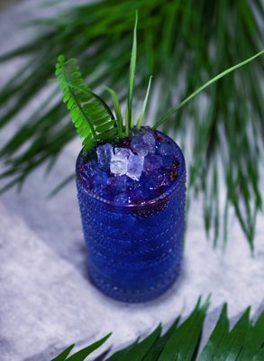 Mama Sambusa Kitchen by null