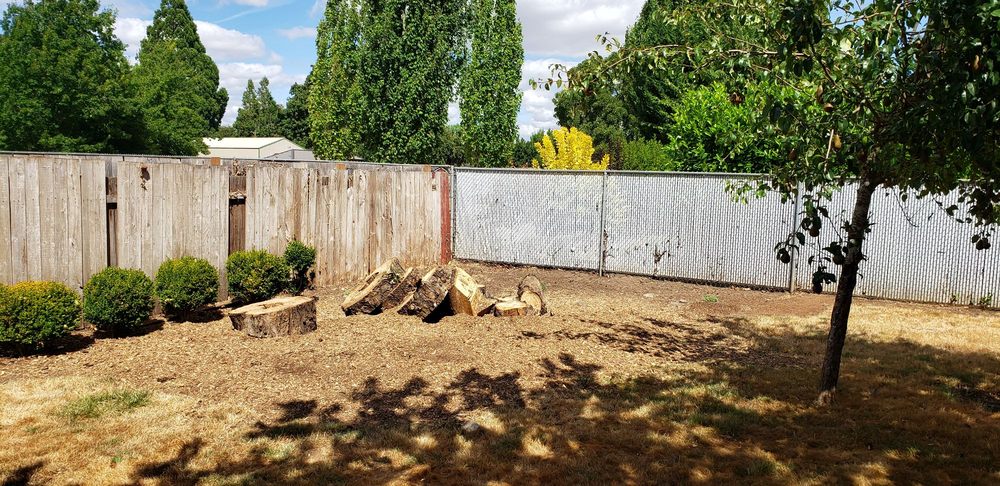 Yost Tree Service - tree service in Salem, OR