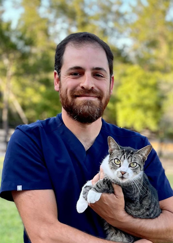 HELPING HANDS VETERINARY SURGERY AND DENTISTRY OF FLORIDA Updated