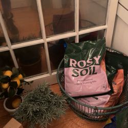 Buttercup Flower and Wine Bar - Rosy soil