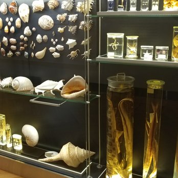 Luonnontieteellinen museo - From the sea, at the Natural History Museum - Museums Near Me - Helsinki, 18
