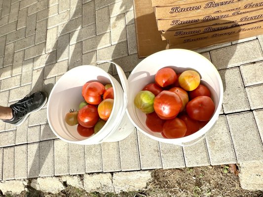 Knaus Berry Farm by null