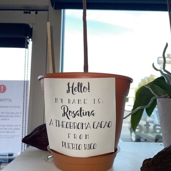 Raphio Chocolate - Chocolatiers & Shops Near Me - Fresno, California