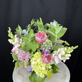 The Dogwood Tree - Florists Near Me - Charlottesville, Virginia The Dogwood Tree - Florists Near Me - Charlottesville, Virginia