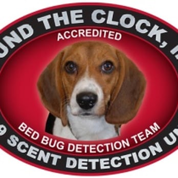 Round the Clock Pest Control - Toby The Bed Bug Dog San Francisco - Pest Control Near Me Round the Clock Pest Control - Toby The Bed Bug Dog San Francisco - Pest Control Near Me