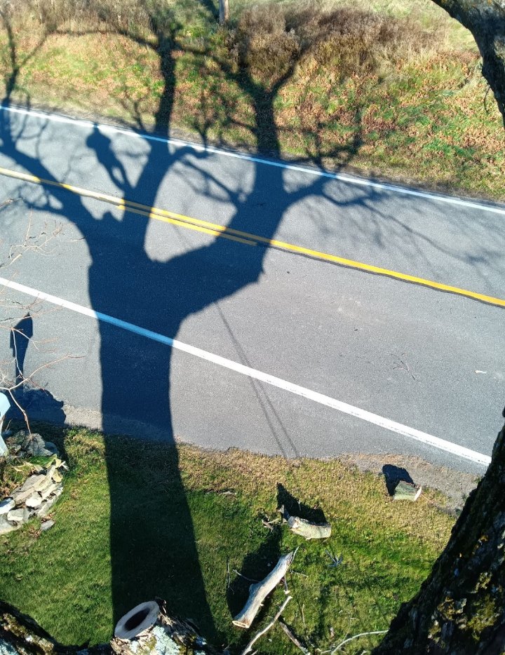 Slide of Jamie VanEtten