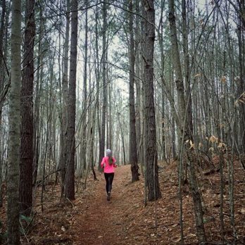 Duke Forest, Korstian Division - Creepy forest running vibes! - Hiking Near Me - Durham, North Carolina