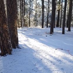 Jemez Falls Campsite