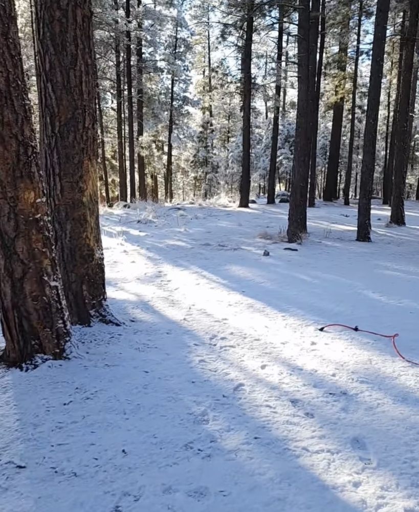 JEMEZ FALLS CAMPSITE Updated September 2024 17 Photos Jemez