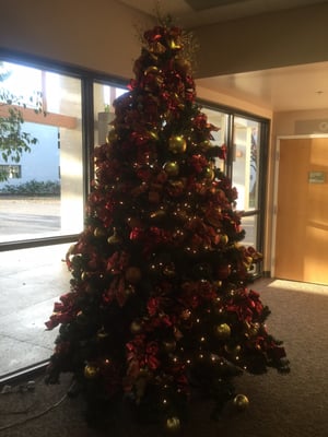 ST JOHN’S HOSPITAL - CAMARILLO - Updated December 2024 - 32 Photos ...