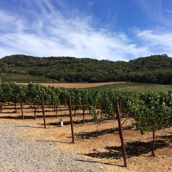 Chappellet - View of the vines - Wineries Near Me - Saint Helena, California Chappellet - View of the vines - Wineries Near Me - Saint Helena, California