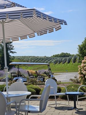 Brys Estate Vineyard & Winery by null