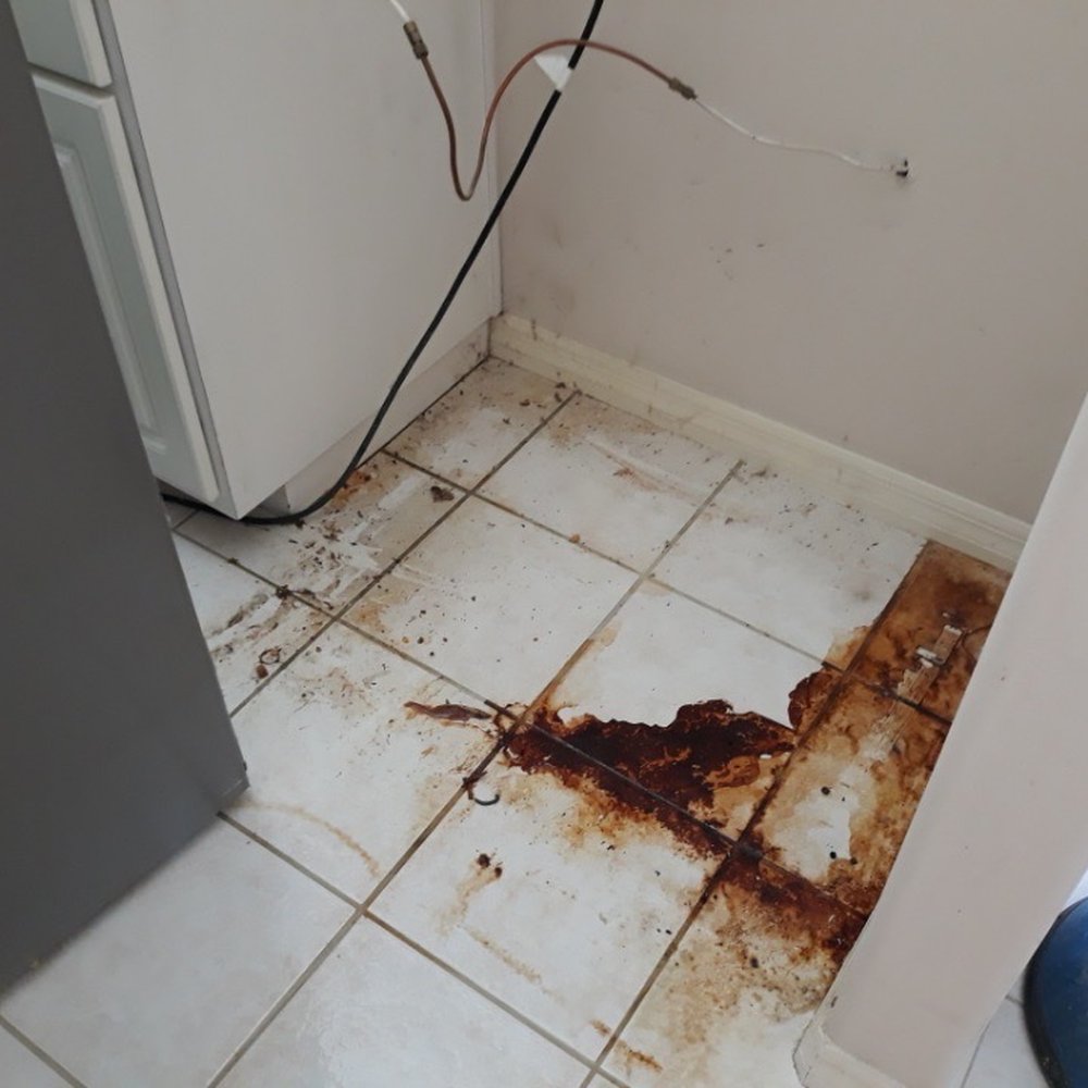 Space Coast Cleaning - Before: Horrendous under the fridge !! - Carpet Cleaning Near Me - Melbourne, Florida Space Coast Cleaning - Before: Horrendous under the fridge !! - Carpet Cleaning Near Me - Melbourne, Florida