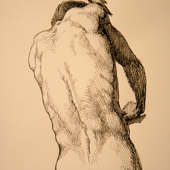 Little Bird Therapies - Drawing by Stuart T. Loughridge - Massage Therapy Near Me - Seattle, Washington Little Bird Therapies - Drawing by Stuart T. Loughridge - Massage Therapy Near Me - Seattle, Washington