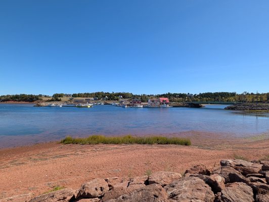 Carr's Oyster Bar by null