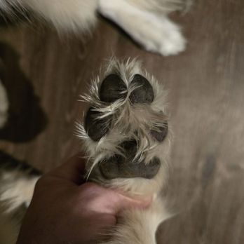 Pet Supplies Plus - Pet Stores Near Me - Yorba Linda, California Pet Supplies Plus - Pet Stores Near Me - Yorba Linda, California