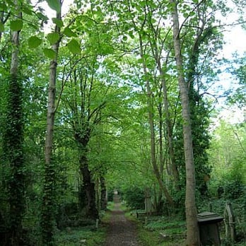 Highgate Cemetery - Funeral Services & Cemeteries Near Me - London, XGL Highgate Cemetery - Funeral Services & Cemeteries Near Me - London, XGL