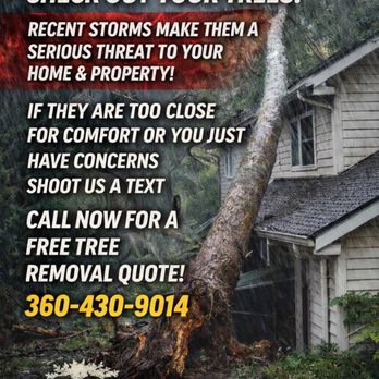 Rooted Solutions - Tree Services Near Me - Anaconda, Montana Rooted Solutions - Tree Services Near Me - Anaconda, Montana