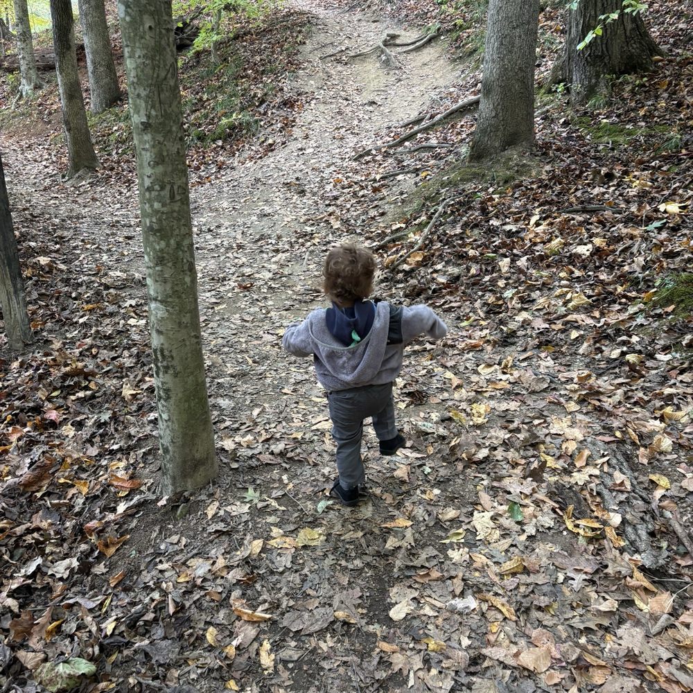 Checking out the lake trail
