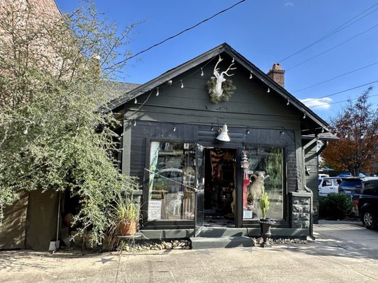 Savant Vintage by null