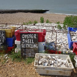 Oyster Fishery Company Restaurant - Oyster shells recycling.