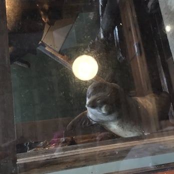 Buoy Beer - Sea lions - Brewpubs Near Me - Astoria, Oregon