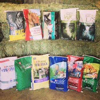 Cal Ag - We carry a wide range of Purina Horse Feeds! Don't see your favorite, let us know and we'll order it for you. - Building Supplies Near Me - Paso Robles, California