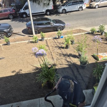 Paradise Landscaping and Gardening - Soil and irrigation done, planting begins - Landscaping Near Me Paradise Landscaping and Gardening - Soil and irrigation done, planting begins - Landscaping Near Me