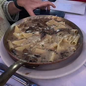 Salute - Papardelle with mushrooms - Italian Near Me - Sarasota, Florida Salute - Papardelle with mushrooms - Italian Near Me - Sarasota, Florida