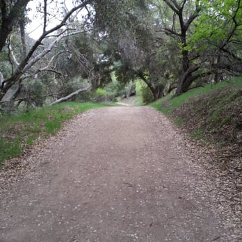 Powder Canyon - Powder canyon - Hiking Near Me - La Habra Heights, California Powder Canyon - Powder canyon - Hiking Near Me - La Habra Heights, California