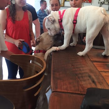 Trim Tab Brewing - So much dog love and hominess! Trimtab is the place to be! - Breweries Near Me - Birmingham, Alabama Trim Tab Brewing - So much dog love and hominess! Trimtab is the place to be! - Breweries Near Me - Birmingham, Alabama