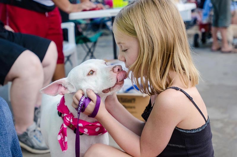 STONEBRIAR VETERINARY CENTRE Updated August 2024 22 Photos & 28