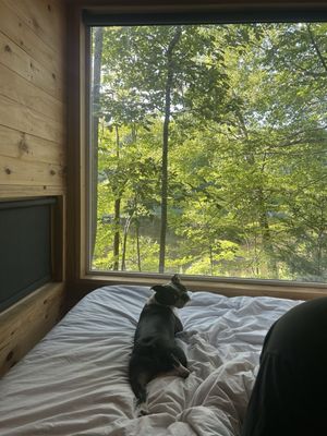 Postcard Cabins Asheboro, Outdoor Collection by Marriott Bonvoy by null