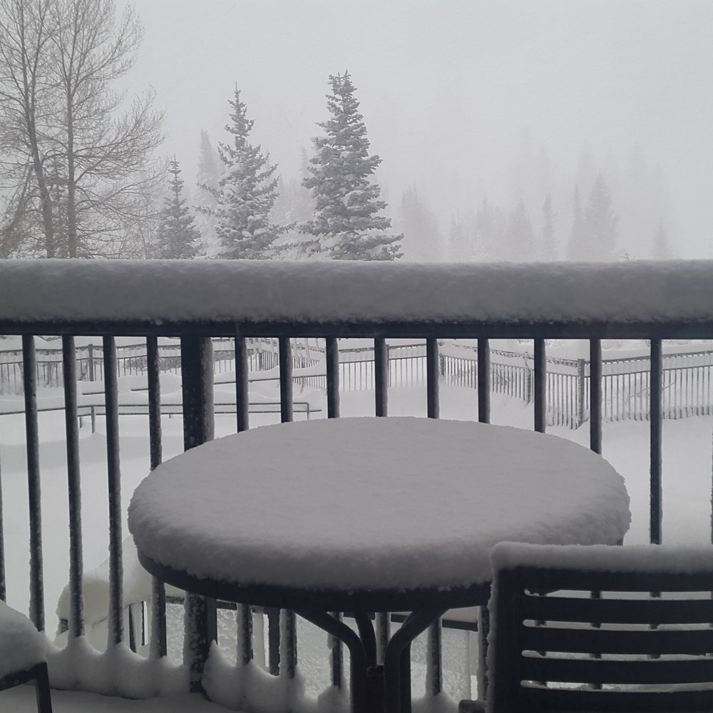 The Iron Blosam - Hard to enjoy the balcony with all of this snow. - Hotels Near Me - Snowbird, Utah The Iron Blosam - Hard to enjoy the balcony with all of this snow. - Hotels Near Me - Snowbird, Utah