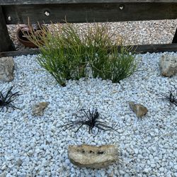 Sun-Ray Landscape Supply
