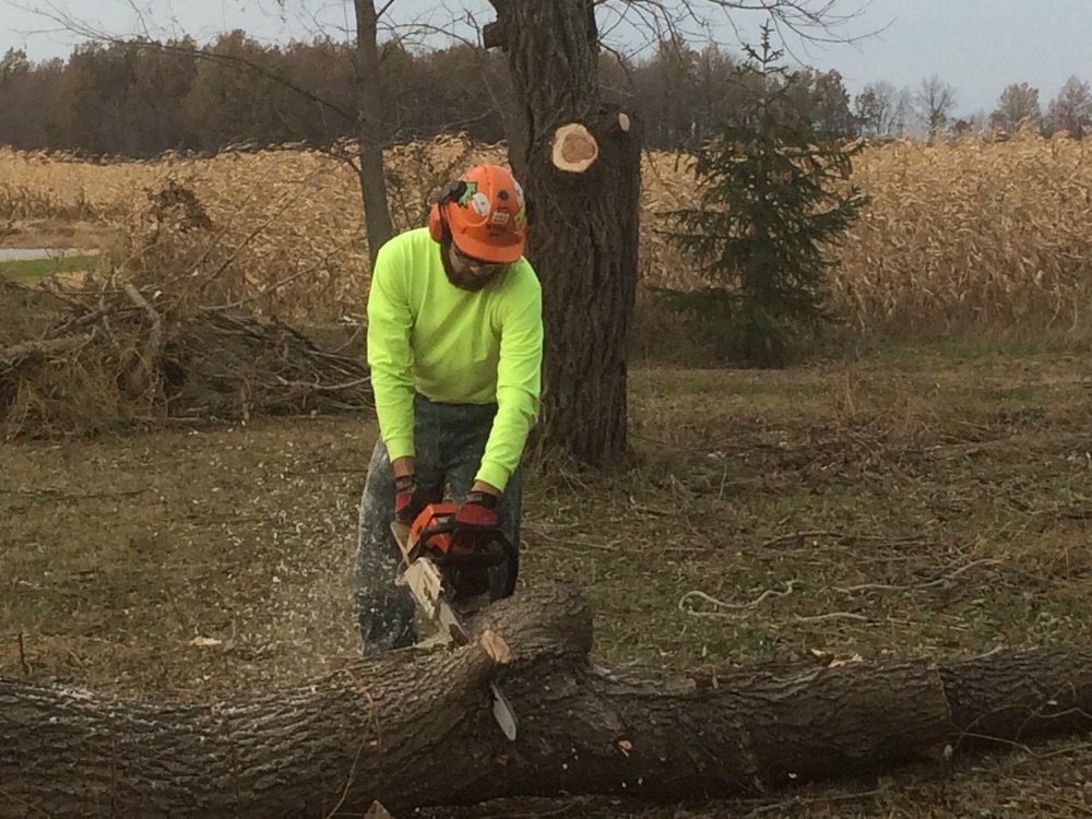 HIGH CLIMBERS TREE CARE Updated June 2024 29 Photos Foster Ave