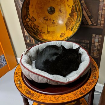 Naughty Cat Cafe - Kitty in globe - Coffee & Tea Near Me - Chattanooga, Tennessee Naughty Cat Cafe - Kitty in globe - Coffee & Tea Near Me - Chattanooga, Tennessee